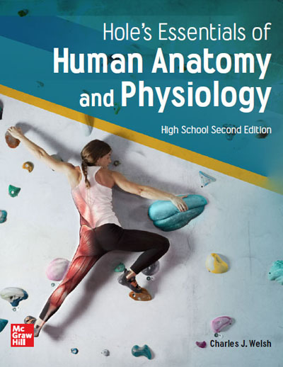 Hole's Essentials of Human Anatomy and Physiology